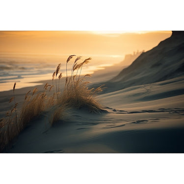 Canvas of a Sunset at Beach